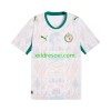 Senegal Domaći Nogometni Dres 2026 2027